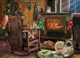 PZ 500 CH KITTENS BY THE STOVE