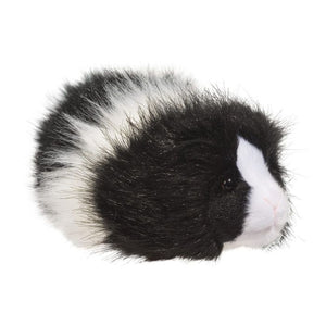 DCT ANGORA BLACK/WHITE GUINEA PIG