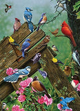 PZ 1000 CH BIRDS OF THE FOREST