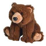 KM CUDDLEKINS BROWN BEAR 12"