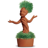 CHIA POTTED GROOT