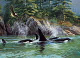 PZ 1000 CH ORCA'S